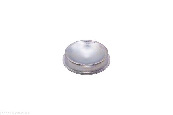 AUTOMEGA 110128810 Cap, wheel bearing