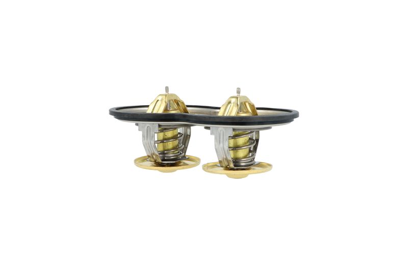 Termostat, chladivo 725374