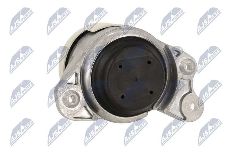 Paigutus, Mootor, NTY ZPS-ME-079