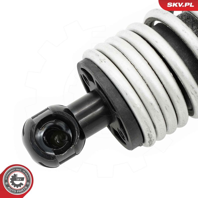 Gaasivedru, pagasi-, veoruum, ESEN SKV 52SKV834