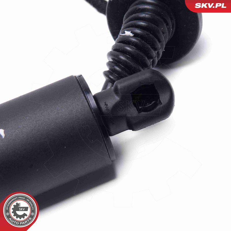ESEN SKV 52SKV951 Electric Motor, tailgate