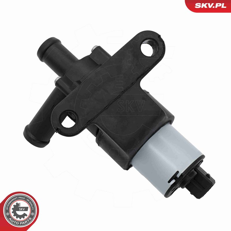 ESEN SKV 22SKV040 Auxiliary Water Pump (cooling water circuit)