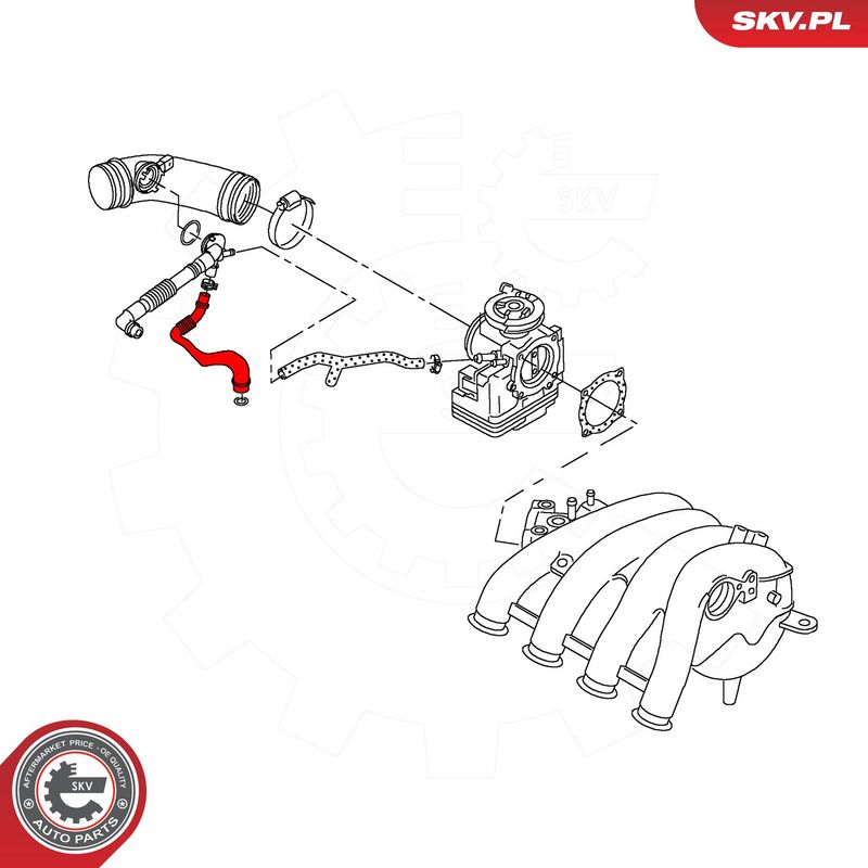 Voolik, Karterituulutus, ESEN SKV 54SKV182
