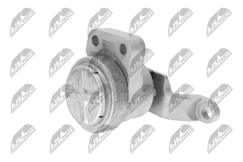 Paigutus, Mootor, NTY ZPS-FR-033