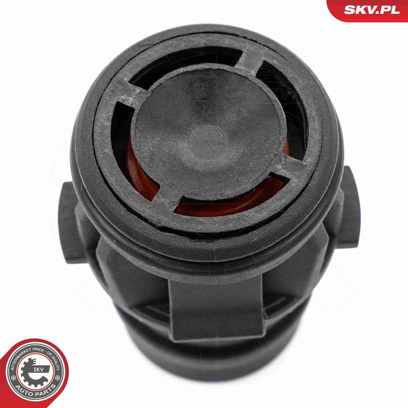 ESEN SKV 18SKV810 - Repair Set, vacuum pump (braking system)