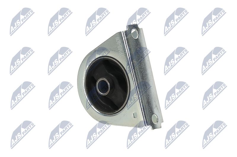 Paigutus, Mootor, NTY ZPS-MS-009