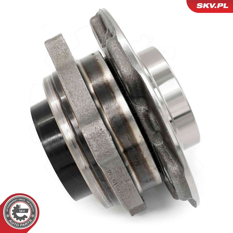 ESEN SKV 29SKV329 Wheel Bearing Kit