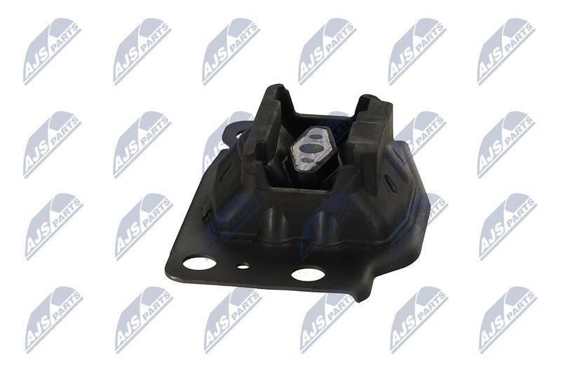 Paigutus, Mootor, NTY ZPS-FR-035