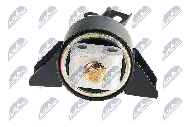 Paigutus, Mootor, NTY ZPS-DW-010