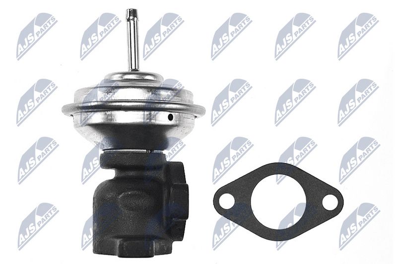 EGR-klapp, NTY EGR-AU-013