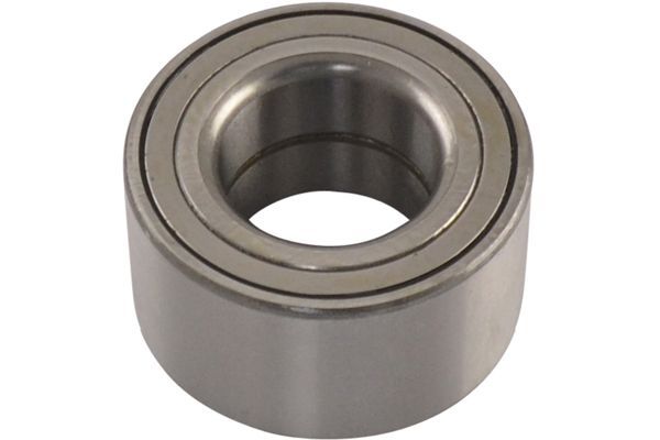 Kavo Parts Rato guolis