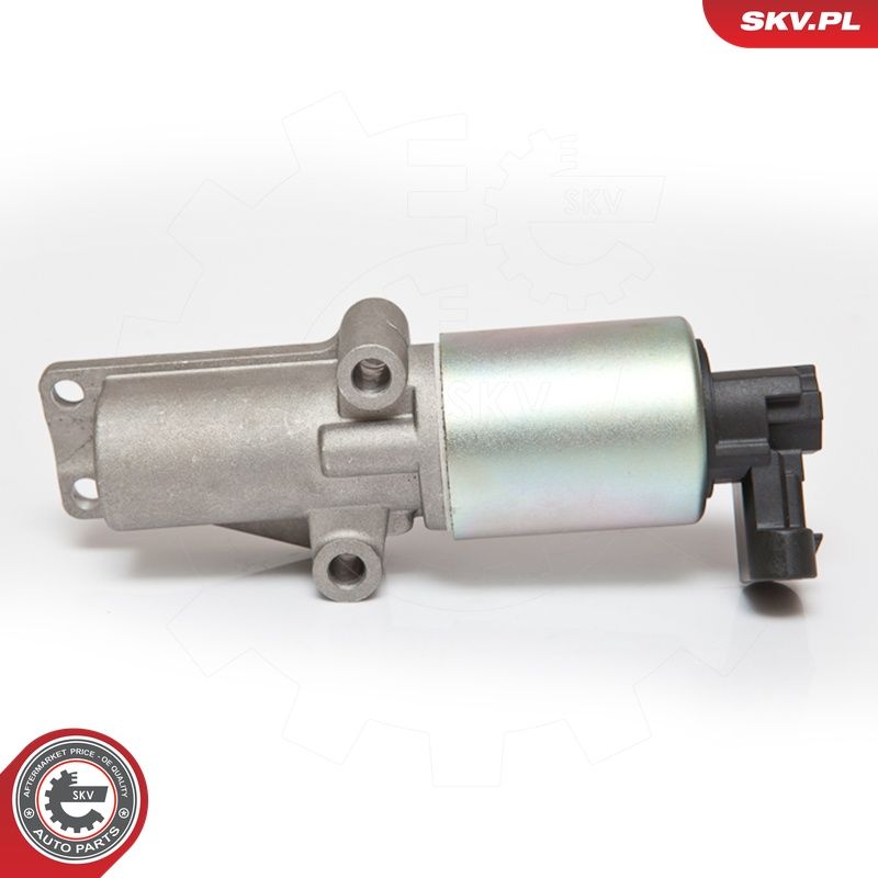 EGR-klapp, ESEN SKV 14SKV065