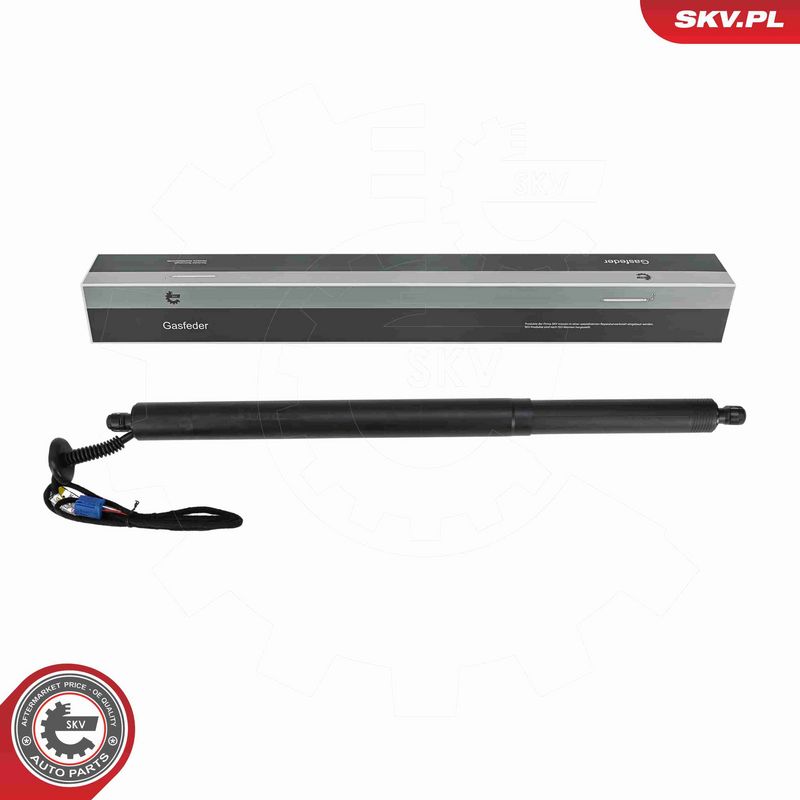 ESEN SKV 52SKV881 Electric Motor, tailgate