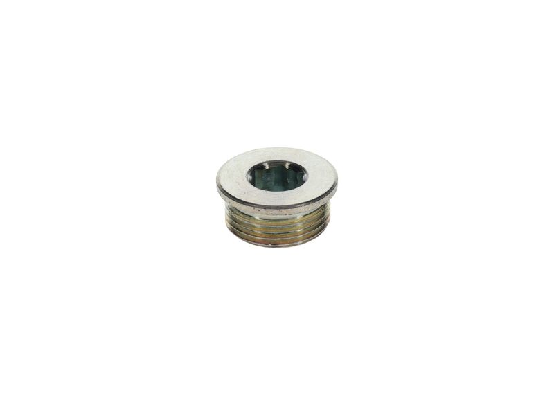 Surub 1 423 462 099 BOSCH