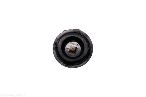 AUTOMEGA 160031410 Cap, coolant tank