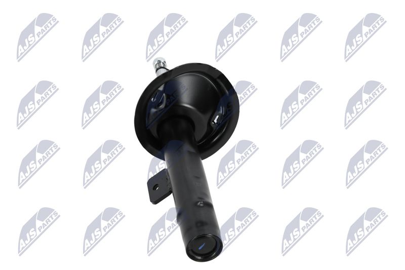 Amort, NTY A-CT-020