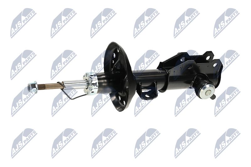 Amort, NTY A-PL-062