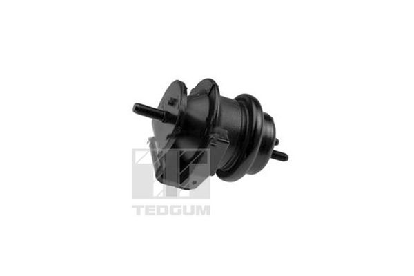 TEDGUM TED95509 Variklio pagalvė