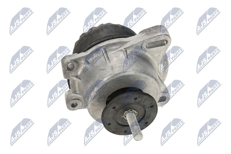 Paigutus, Mootor, NTY ZPS-FR-013