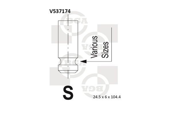 V537174.JPG