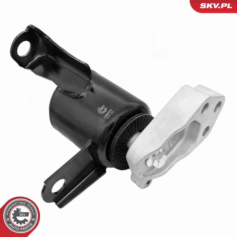 ESEN SKV 75SKV012 Mounting, engine