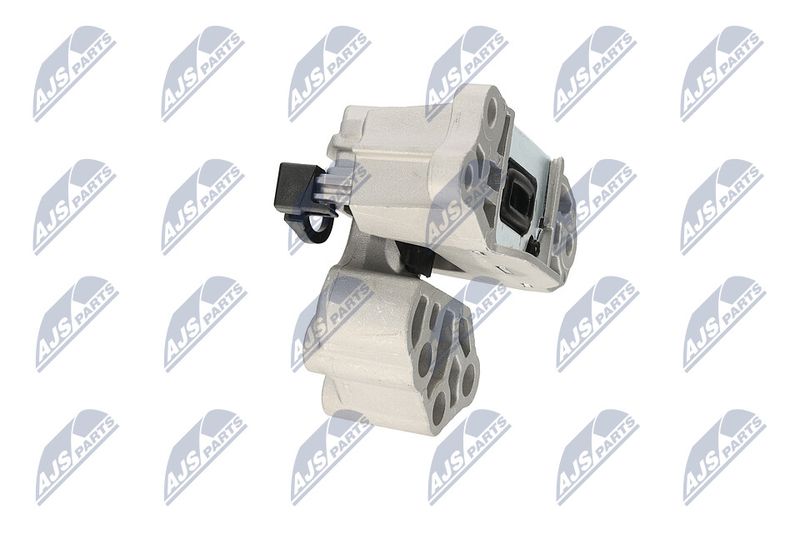 Paigutus, Mootor, NTY ZPS-CH-133