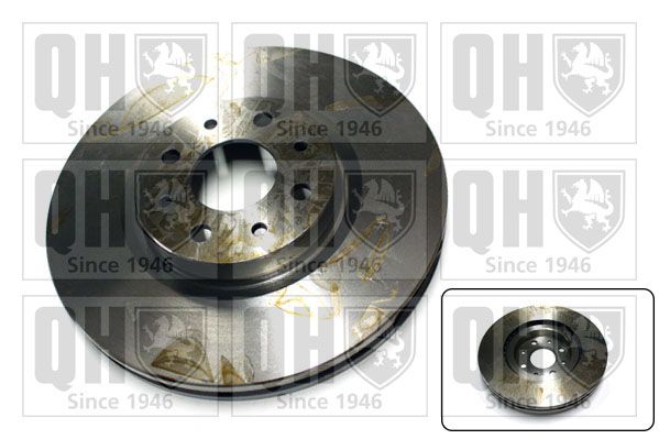 QH_BDC5322.JPG