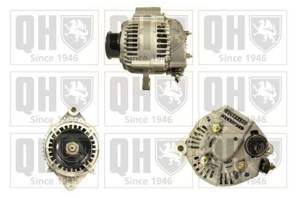 QH_QRA2905_GRUPPE.JPG