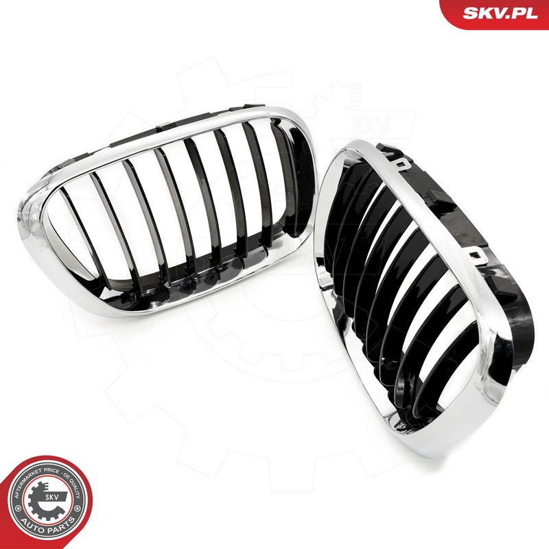 Radiaatorivõre, ESEN SKV 66SKV273