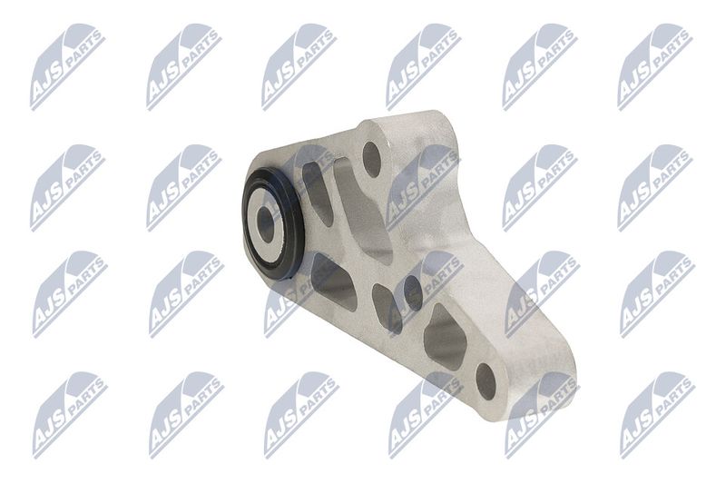 Paigutus, Mootor, NTY ZPS-CH-119