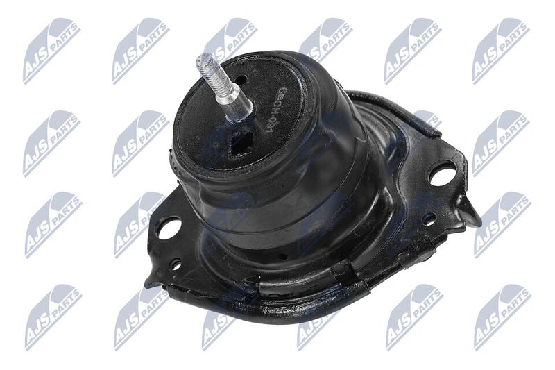 Paigutus, Mootor, NTY ZPS-CH-091