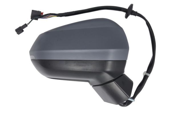 BLIC 5402-25-0067317P Exterior Mirror