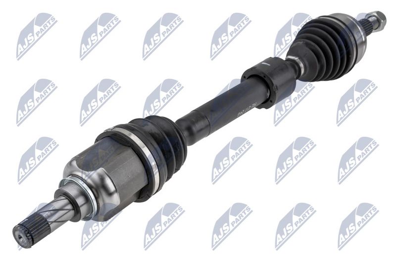 NPW-RE-217_1-WM.JPG