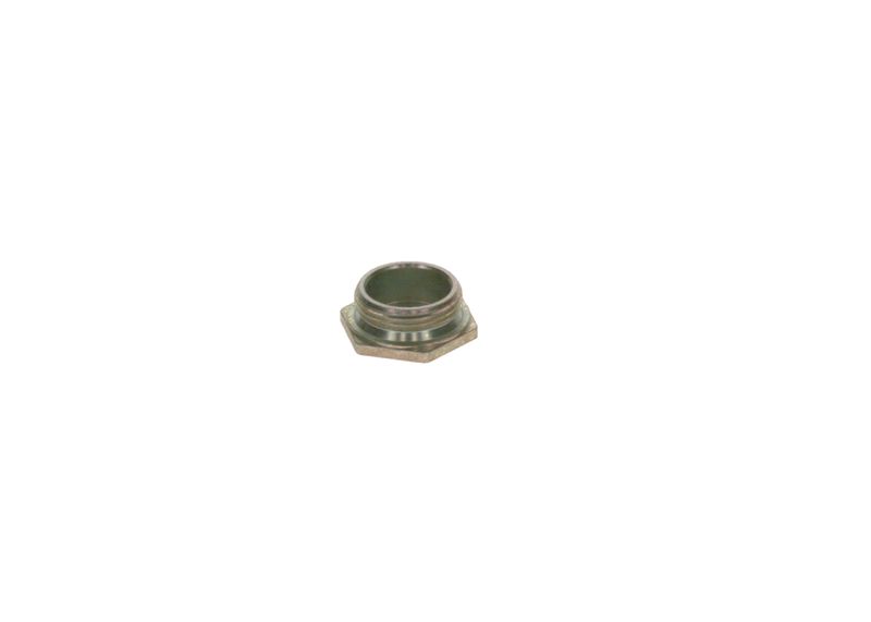 BOSCH 2443462014 Screw