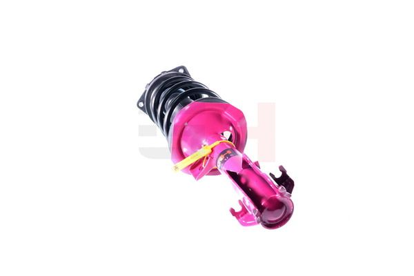 Vedruamort, GH GH-352298C01