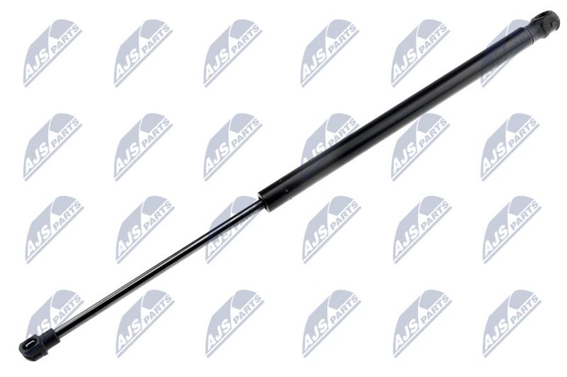 NTY AE-NS-005 Gas Spring, boot/cargo area