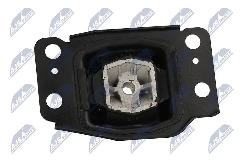 Paigutus, Mootor, NTY ZPS-FR-036