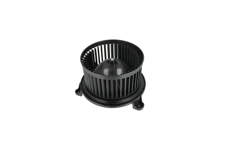 Salongipuhur, NRF 34365