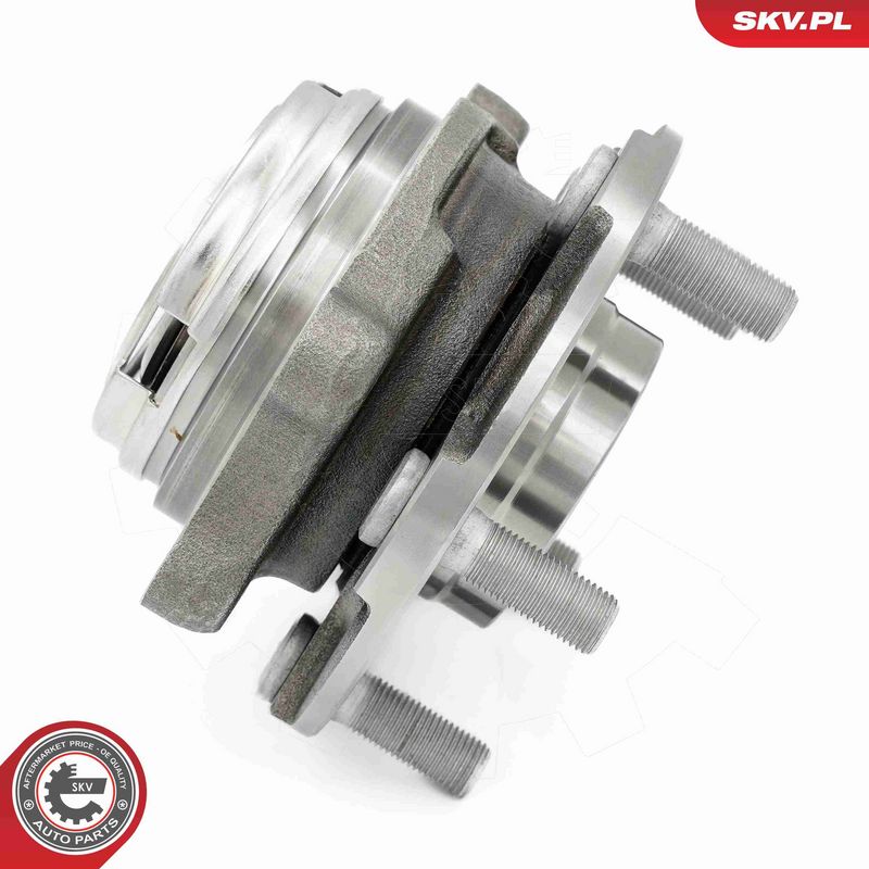 ESEN SKV 29SKV699 Wheel Bearing Kit