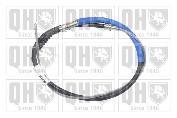 QH_BC3954.JPG