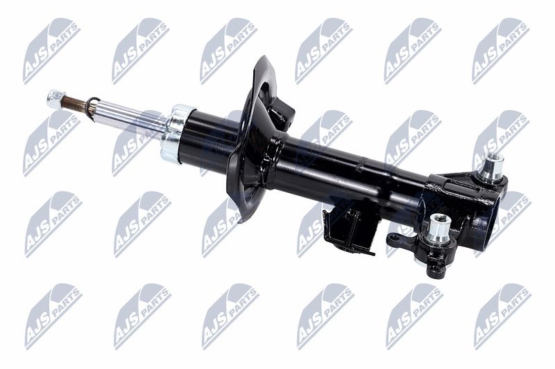 Amort, NTY A-NS-015