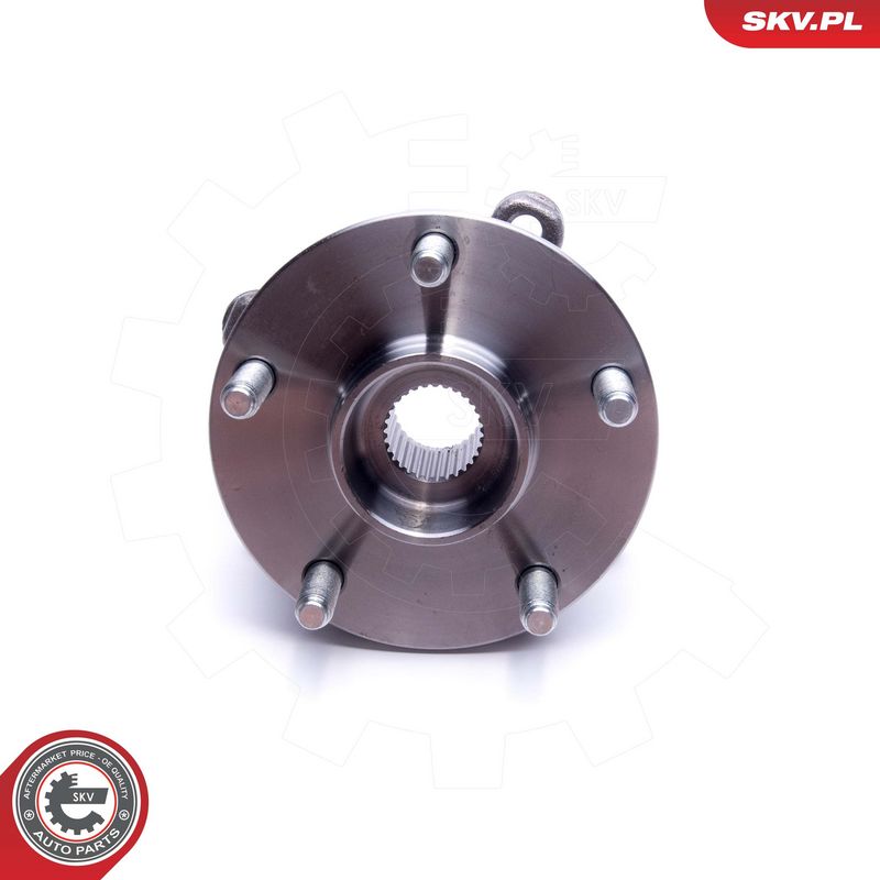 Rattalaagrikomplekt, ESEN SKV 29SKV494