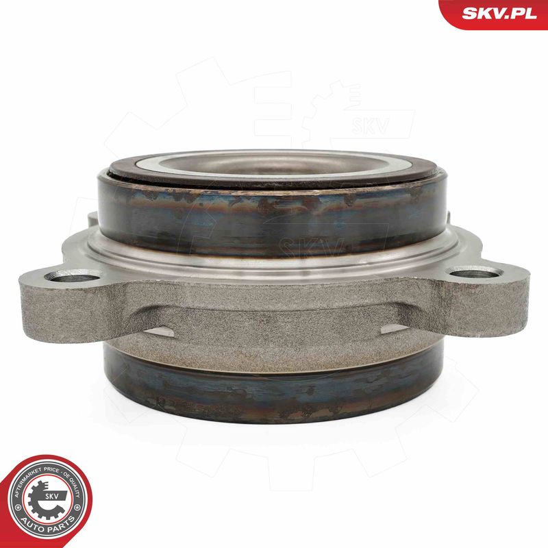 ESEN SKV 29SKV673 Wheel Bearing Kit