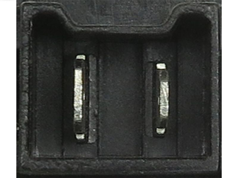 283541.JPG