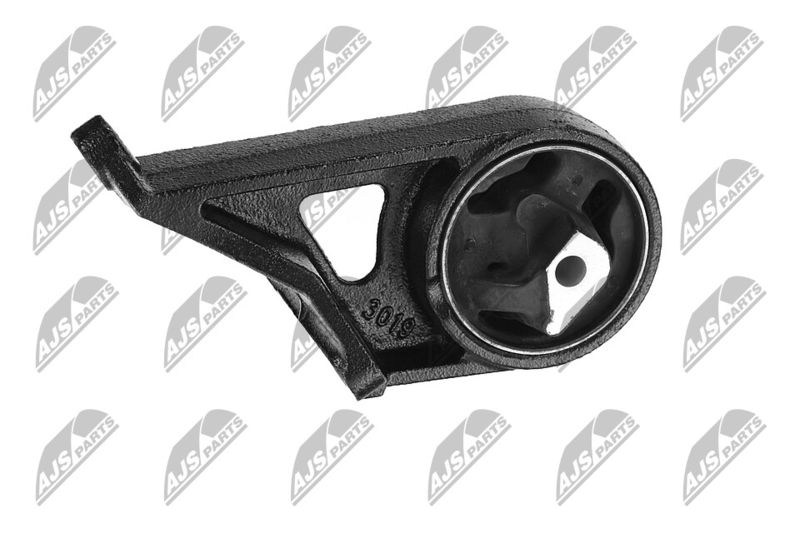 Paigutus, Mootor, NTY ZPS-CH-005