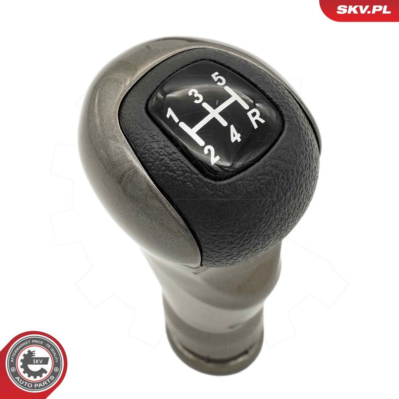 Käigukanginupp, ESEN SKV...