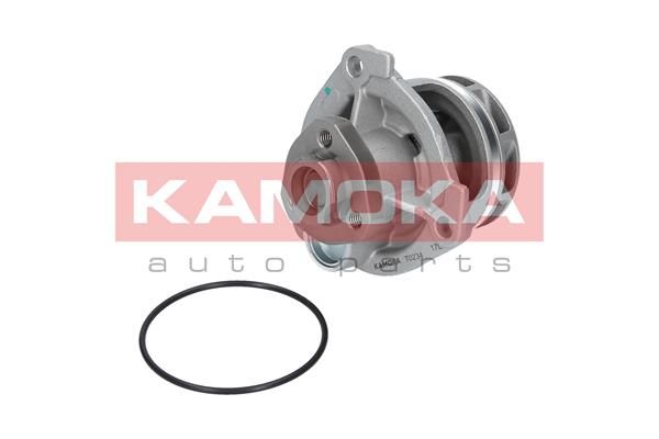 KAMOKA T0234 Water Pump, engine cooling