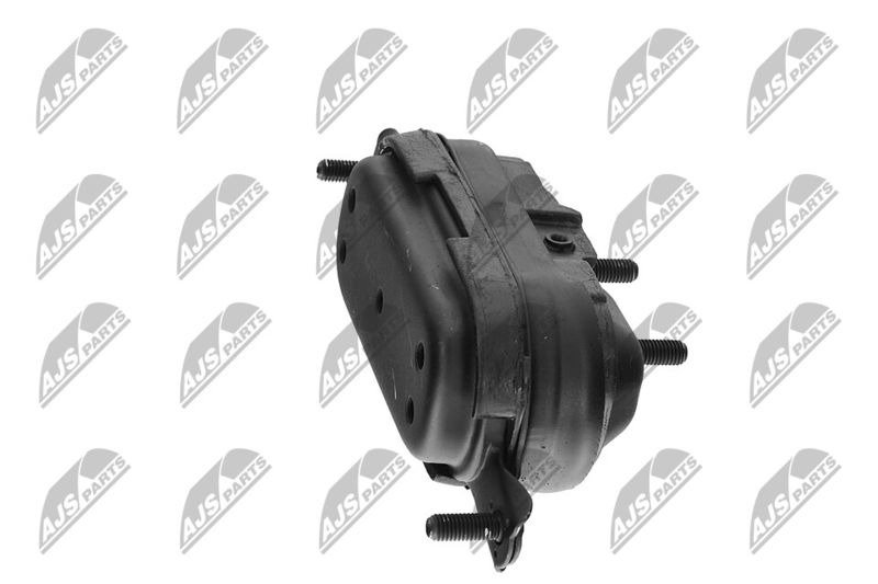 Paigutus, Mootor, NTY ZPS-CH-115