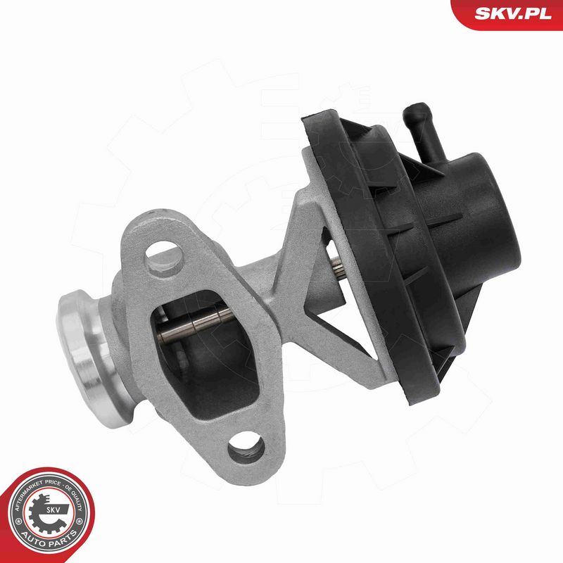 ESEN SKV 14SKV291 EGR Valve