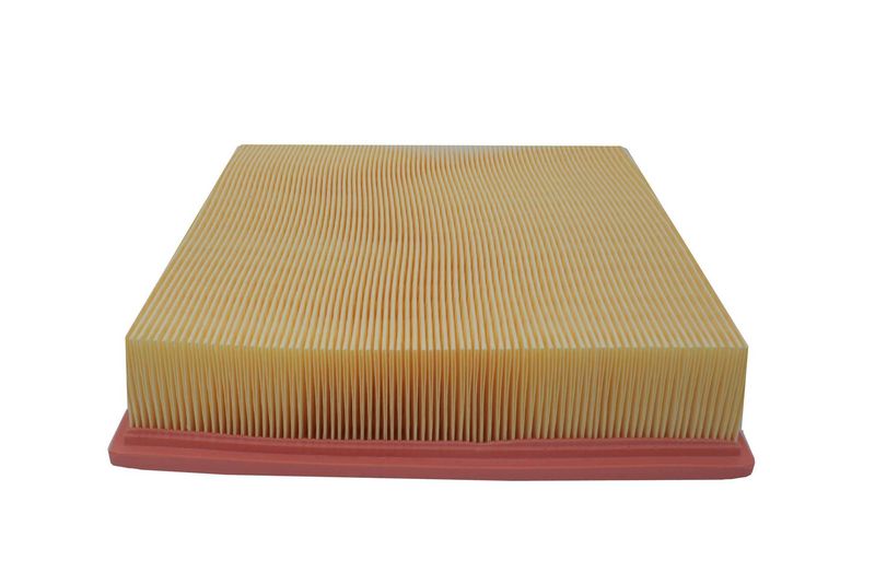 AUTOMEGA 180023110 Air Filter